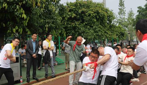 有阳光、微风、草地的运动会，z6com尊龙玩嗨了！